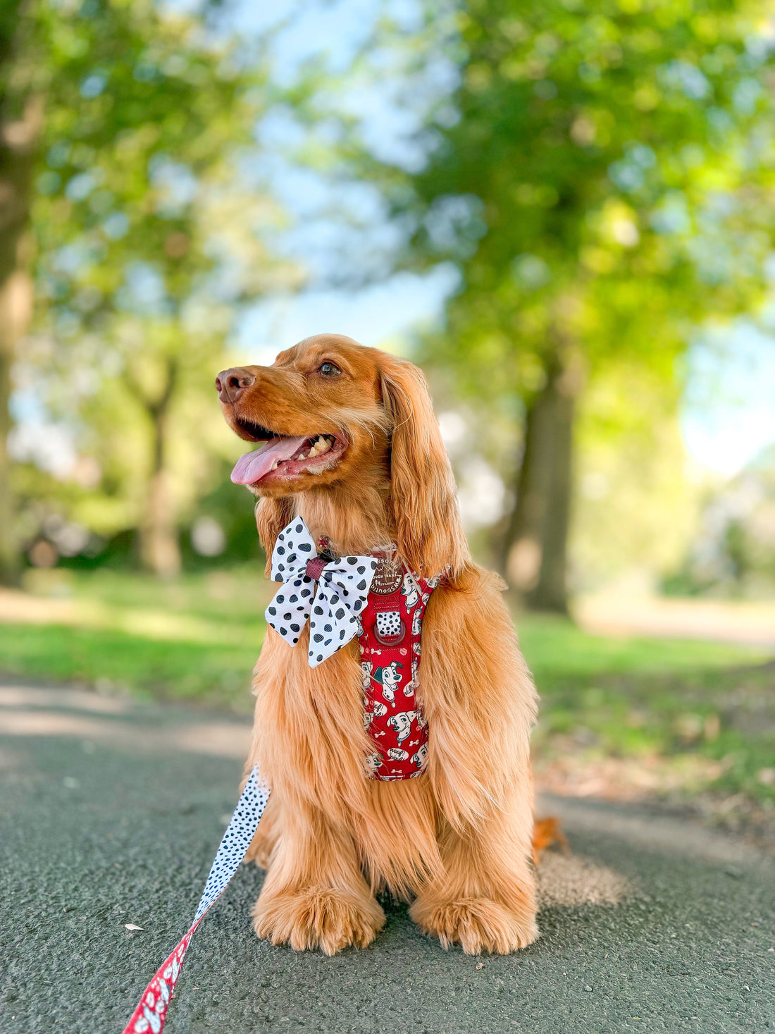Disney© Sailor Bow Tie - 101 Dalmatians