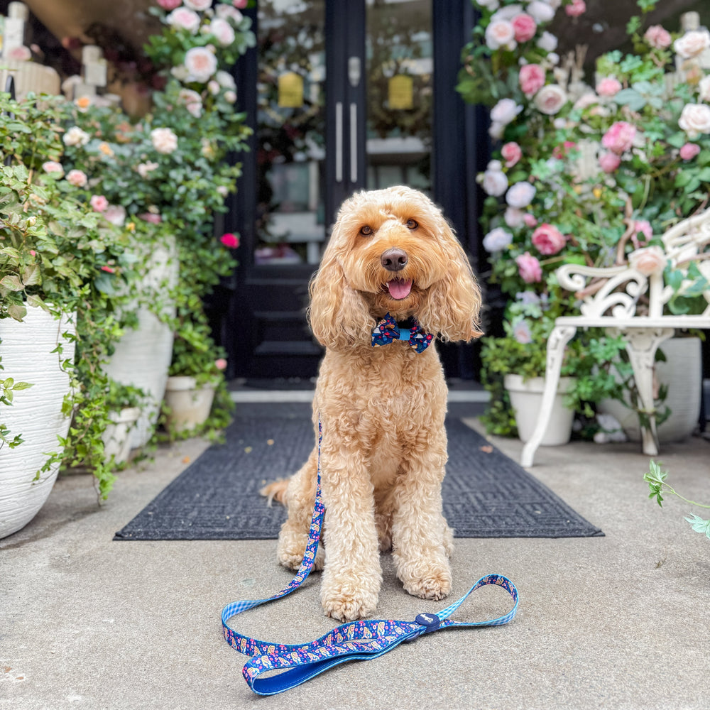 Disney© Lead - Alice In Wonderland