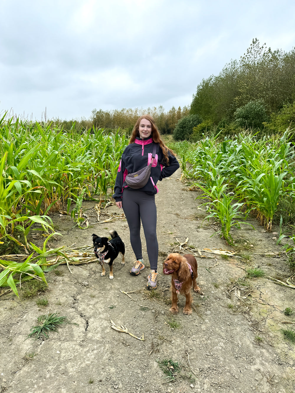 1/4 Zip Fleece - Walkies Ready® Fleece - Charcoal/Pink