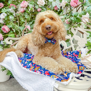 Disney© Dog Blanket - Alice In Wonderland