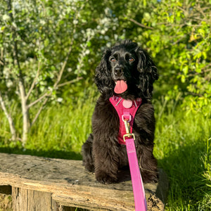 Handsfree Lead - Walkies Ready® Raspberry Pink