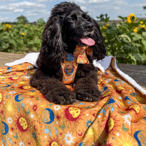 Dog Blanket - Celestial Spirit
