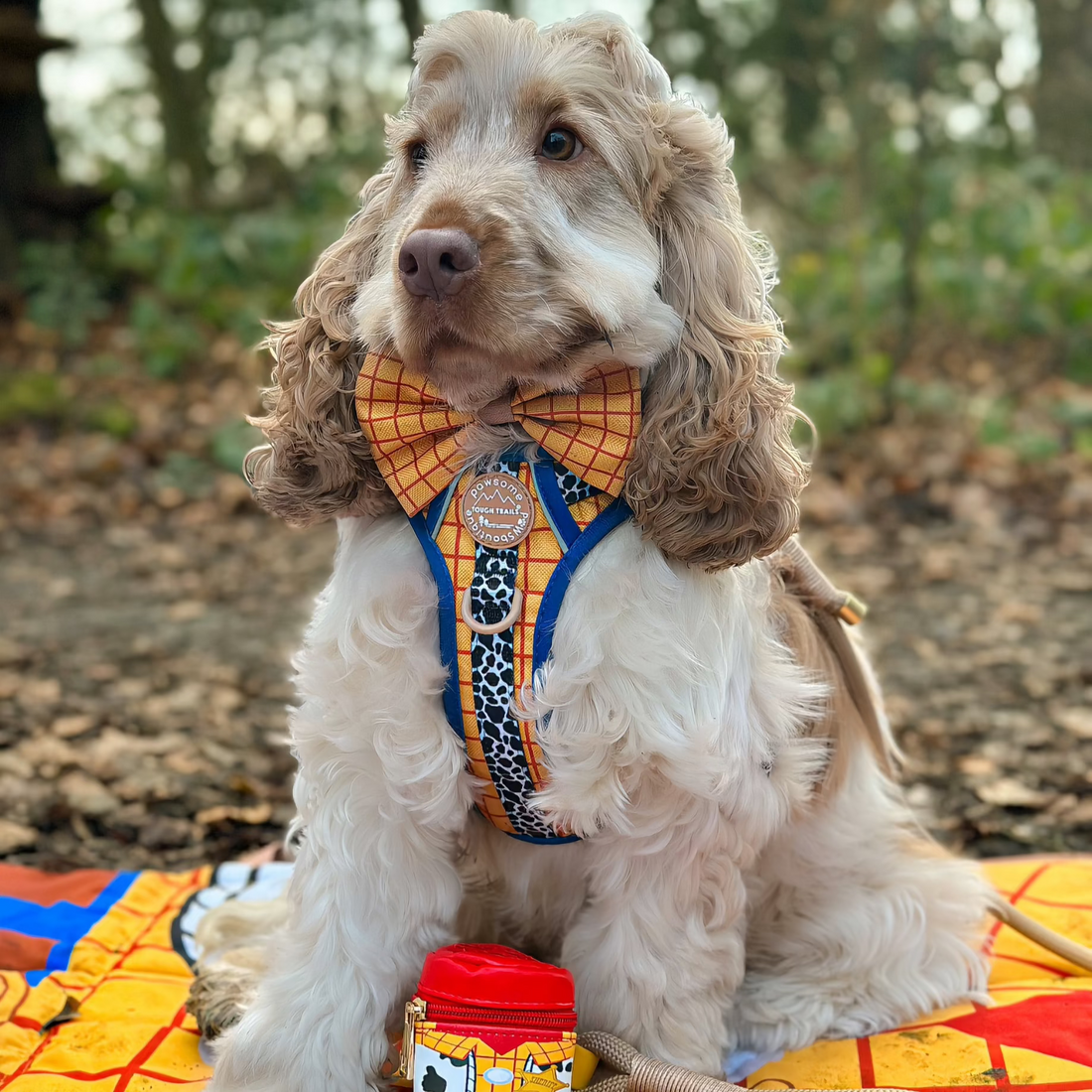 Disney© Bow Tie - Woody