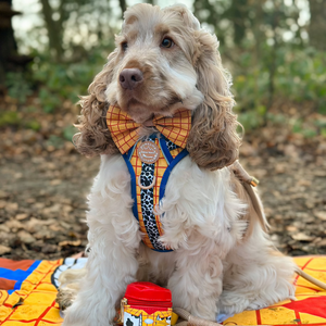 Disney© Bow Tie - Woody