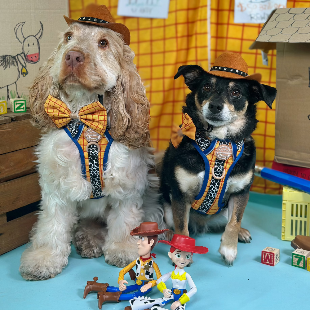 Disney© Bow Tie - Woody