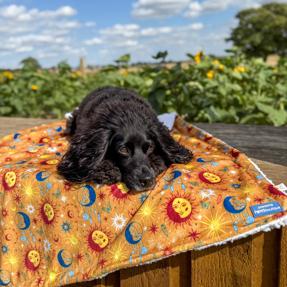 Dog Blanket - Celestial Spirit