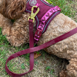 4ft Waterproof Lead - Walkies Ready® Mulberry