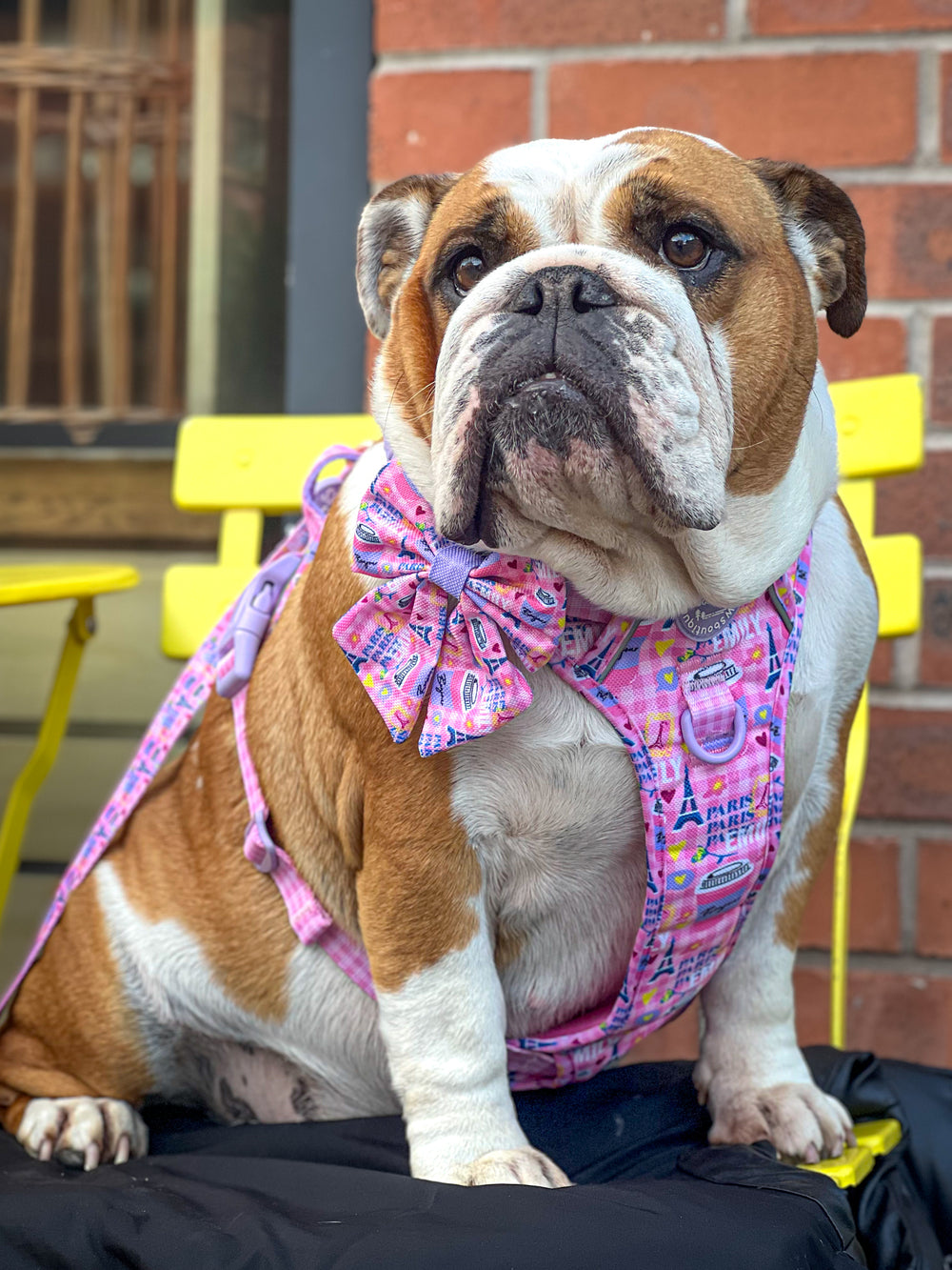 Sailor Bow Tie - Emily In Paris