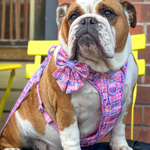 Sailor Bow Tie - Emily In Paris
