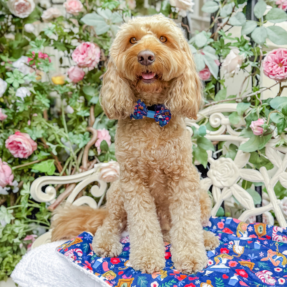 Disney© Bow Tie - Alice In Wonderland