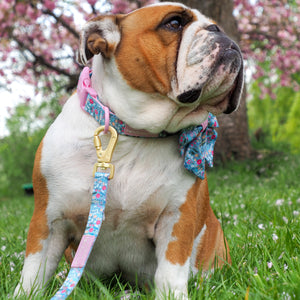 Lead - Whimsical Wildflowers