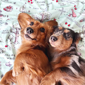 Disney© Dog Blanket - 100 Aker Wood