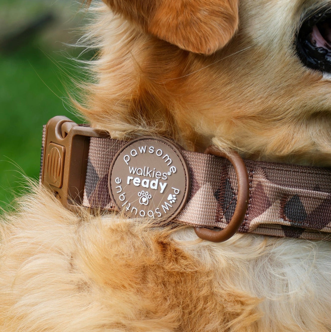 Adventure Collar - Brown (Size Large Only)