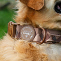 Adventure Collar - Brown (Size Large Only)