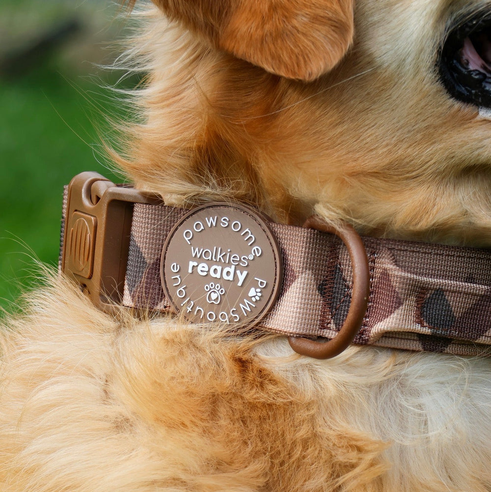 Adventure Collar - Brown (Size Large Only)