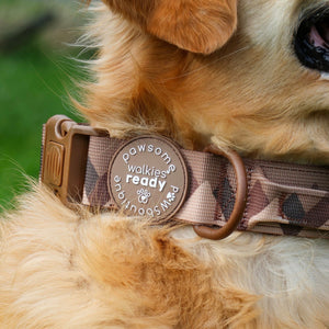 Adventure Collar - Brown (Size Large Only)