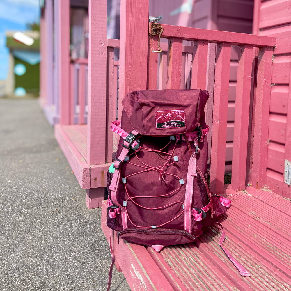 Walkies Ready® Hiking Backpack