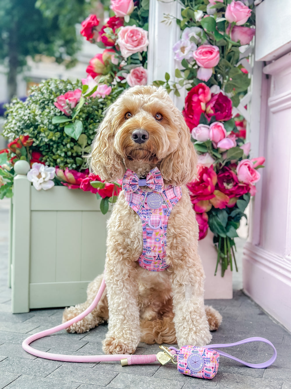 4ft Rope Lead - Emily In Paris
