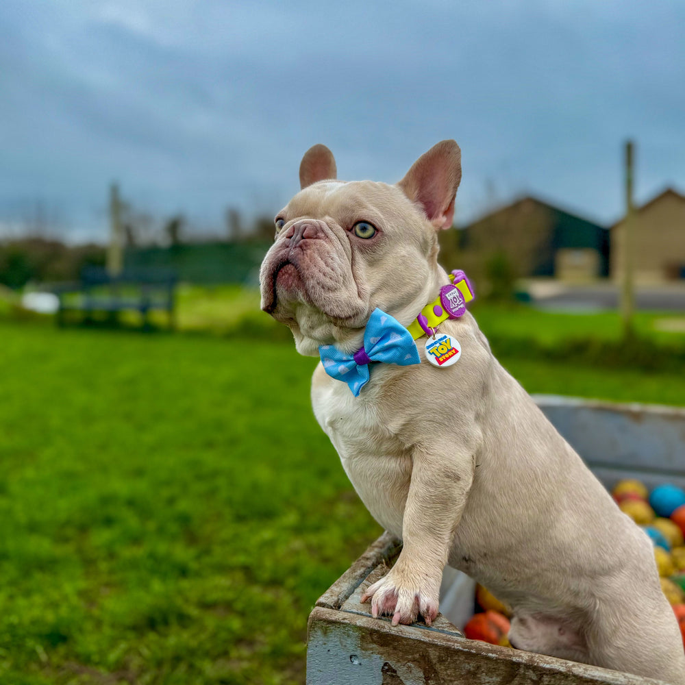 Disney© Bow Tie - Buzz Lightyear