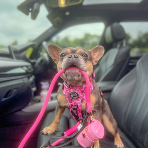 4ft Rope Lead - Mean Girls - Pink and Black