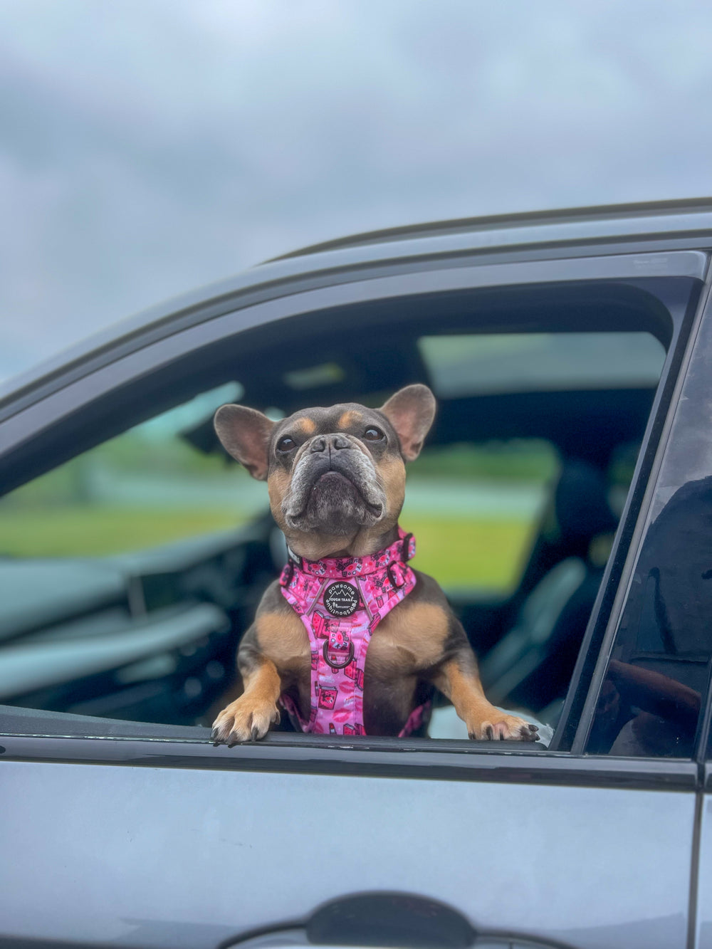 Tough Trails™ Harness - Mean Girls