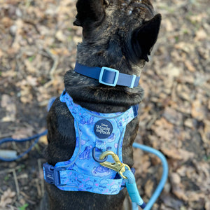 Disney© 4ft Rope Lead - Eeyore - Baby Blue and Navy