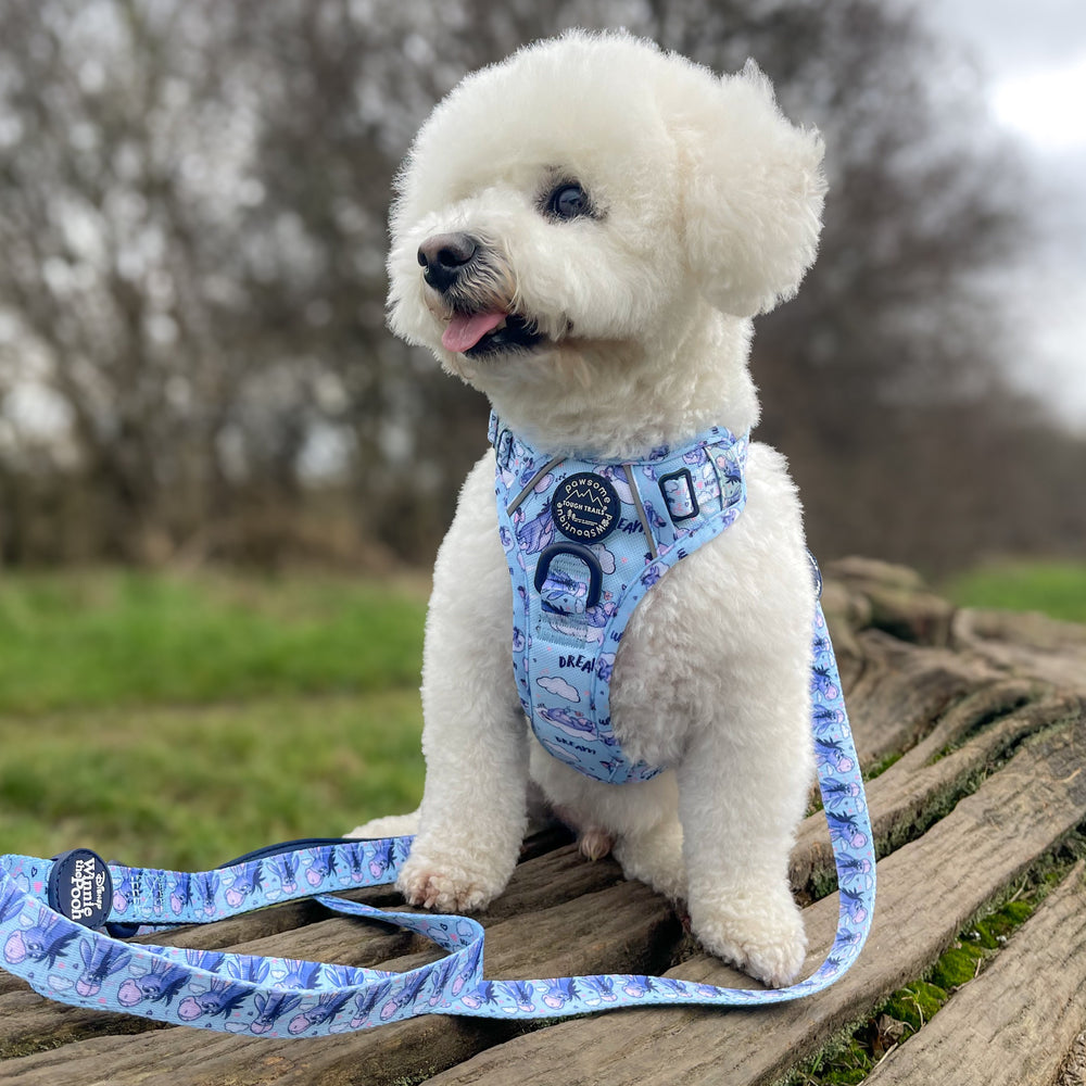 Disney© Lead - Eeyore