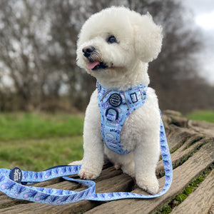 Disney© Lead - Eeyore