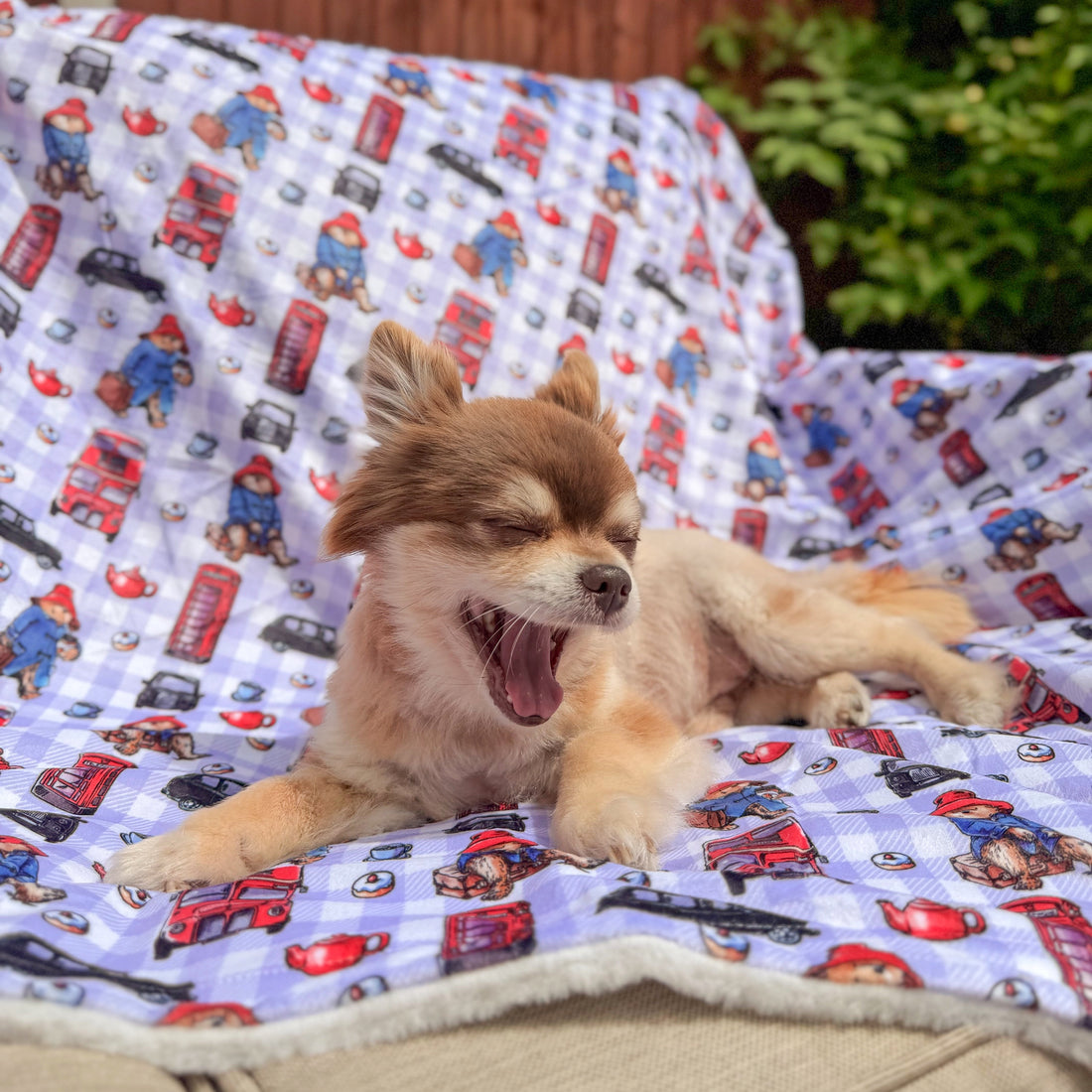 Paddington™ Dog Blanket - London