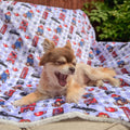 Paddington™ Dog Blanket - London