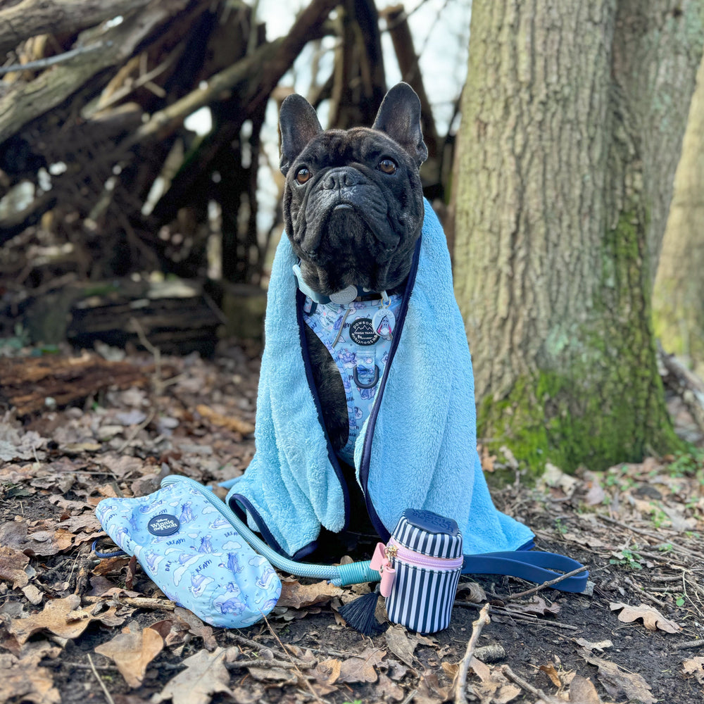 Disney© Microfibre Towel - Eeyore