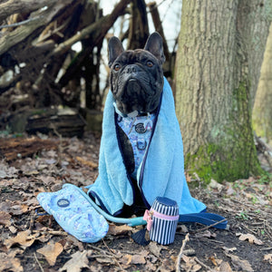 Disney© Microfibre Towel - Eeyore