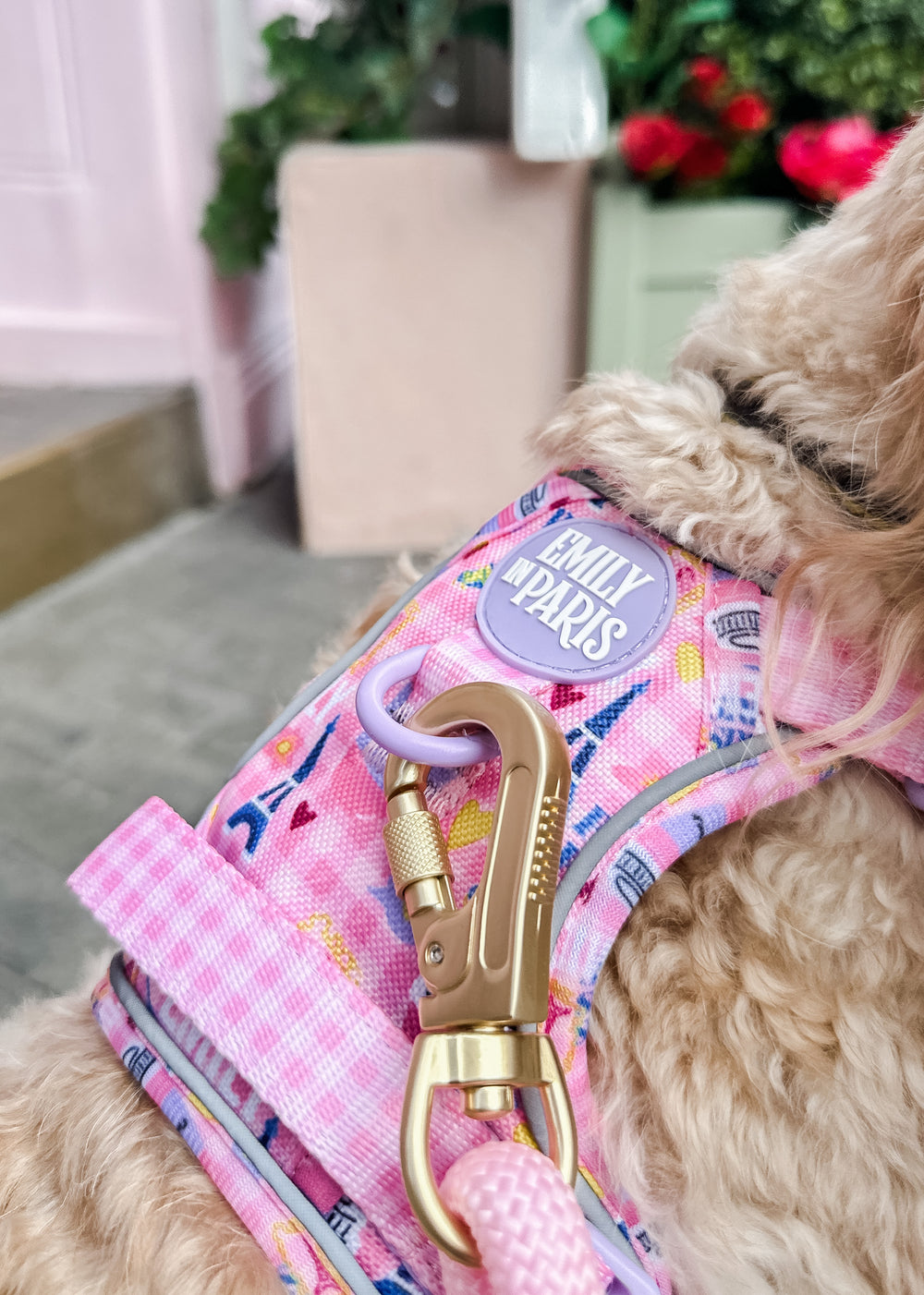 4ft Rope Lead - Emily In Paris