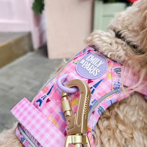 4ft Rope Lead - Emily In Paris