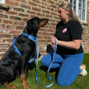 Lead - Sailor Stripes