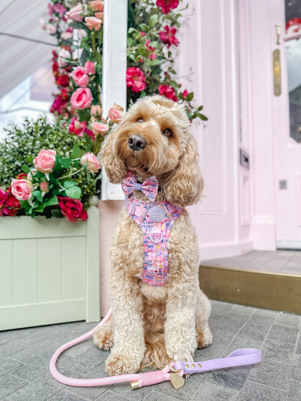 Bow Tie - Emily In Paris