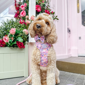 Bow Tie - Emily In Paris
