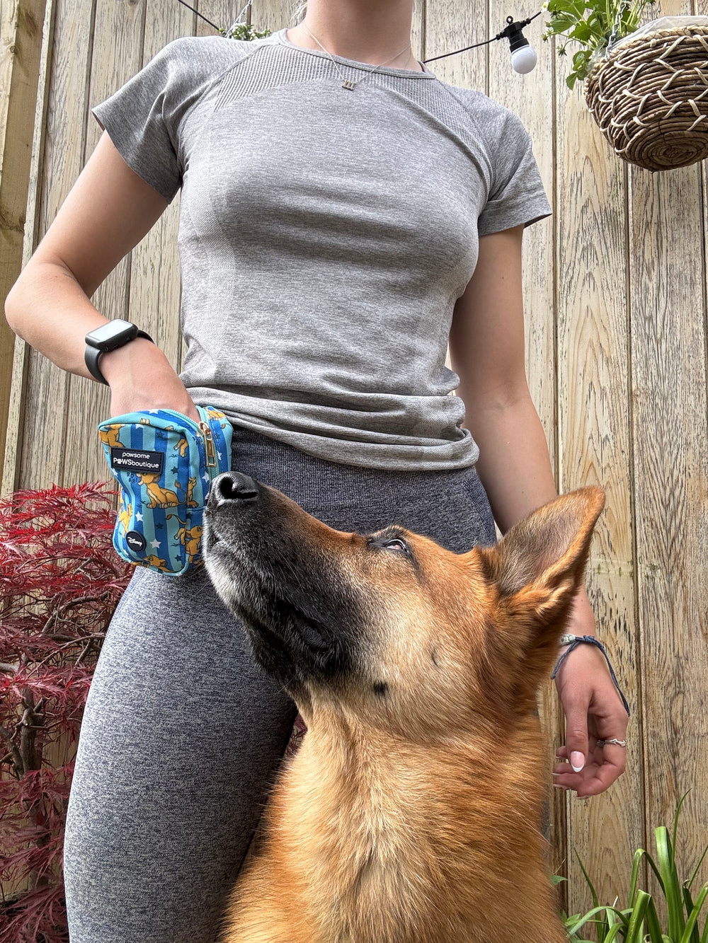 Disney© Treat + Go Bag - Simba