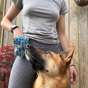 Disney© Treat + Go Bag - Simba