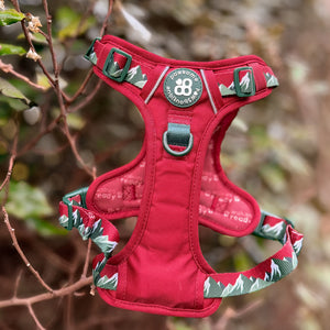 Tough Trails™ Harness - Walkies Ready® Snowy Mountains