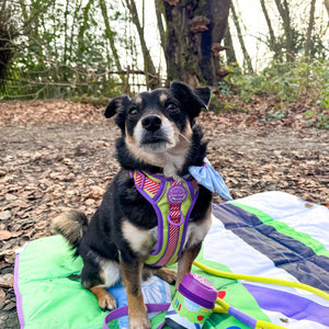 Disney© Travel Mat - Buzz Lightyear