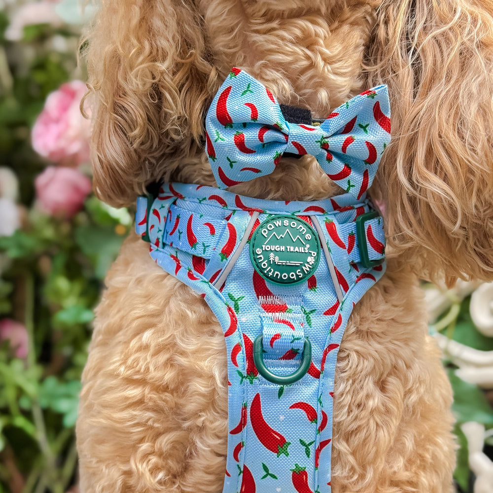 Bow Tie - Stay Spicy