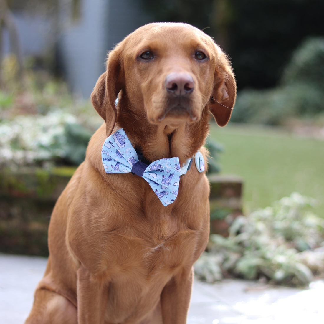 Disney© Bow Tie - Eeyore