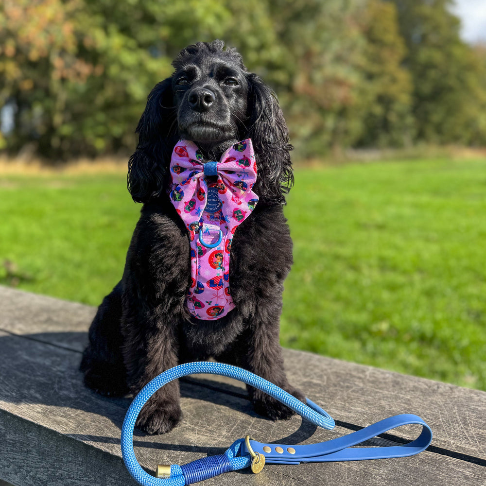 Disney© Sailor Bow - Princess