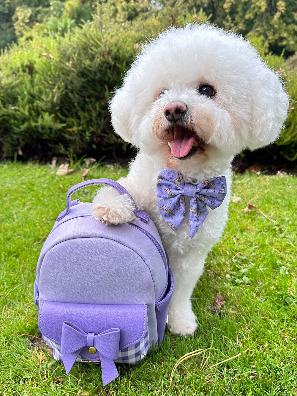 Disney© Dog Walking Backpack - Bambi
