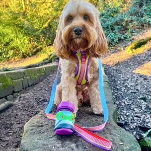 Disney© Lead - Buzz Lightyear