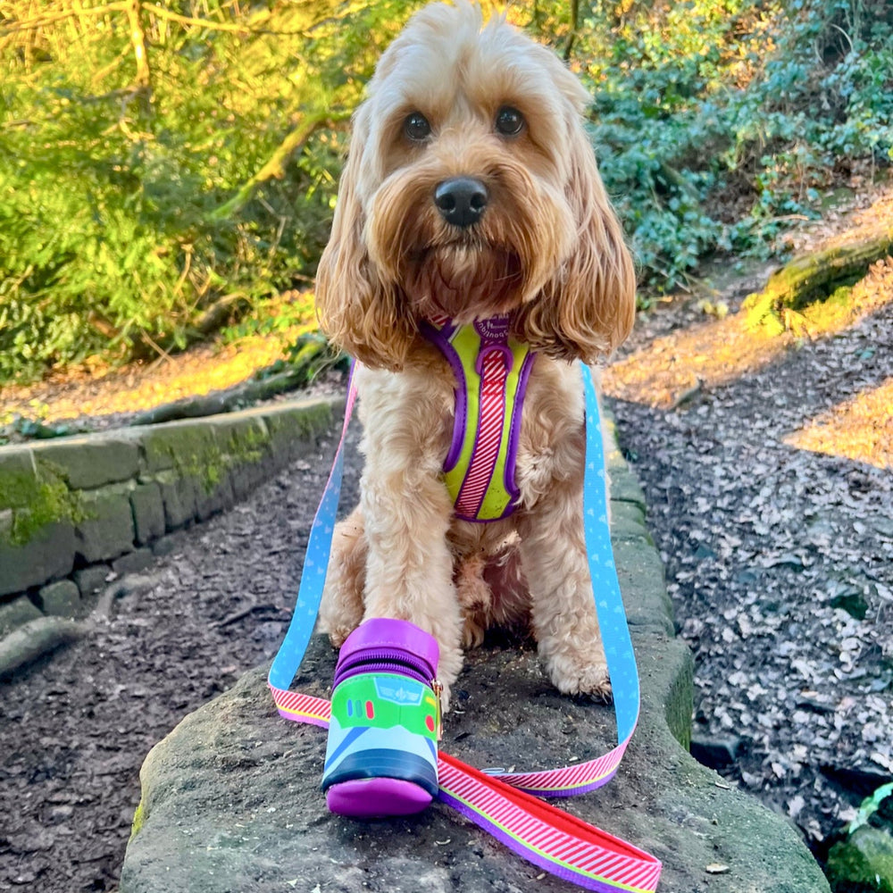 Disney© Treat Pouch - Buzz Lightyear