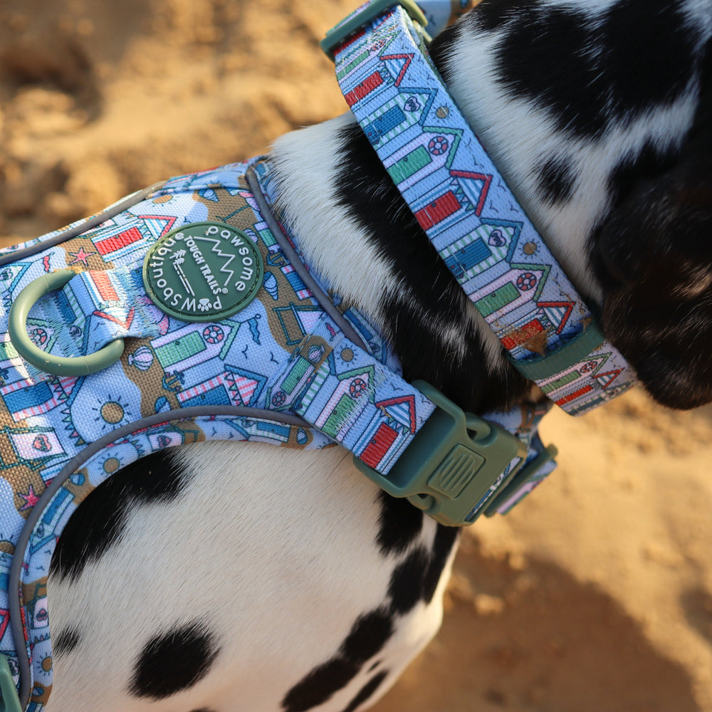 Collar - Sandy Shores