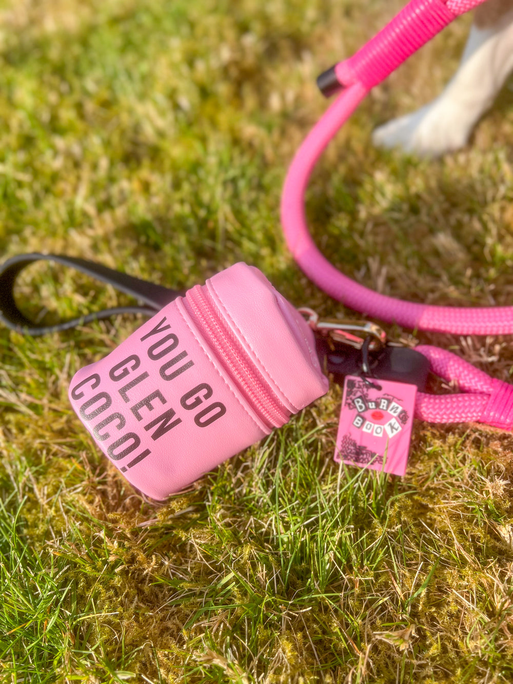 Treat Pouch - Mean Girls