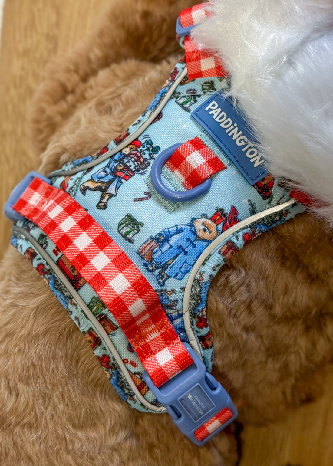 Paddington™ Tough Trails™ Harness - Christmas